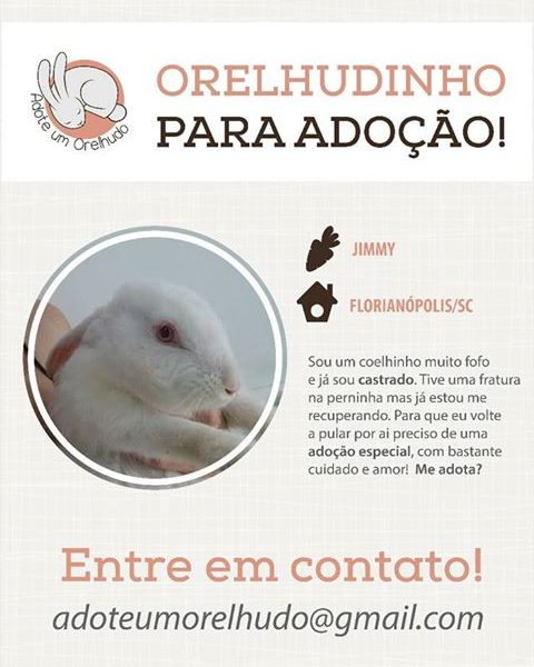 Adotado - Adoção Responsável Florianópolis/SC