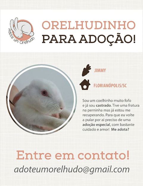 Adotado - Adoção Responsável Florianópolis/SC